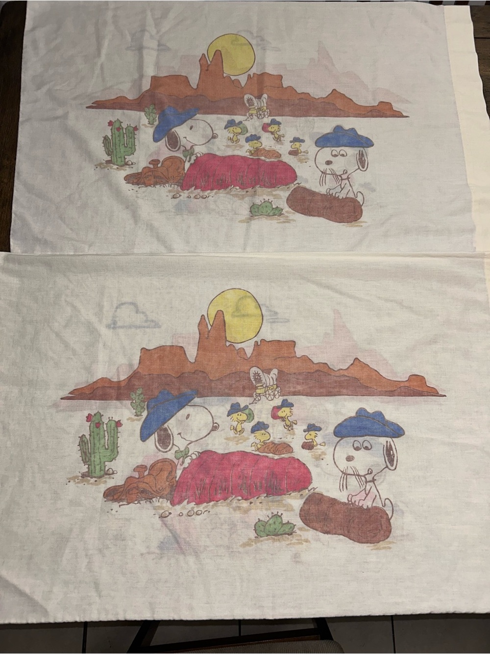 Vintage 1970s Peanuts Pillow Case